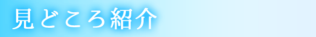 見どころ紹介