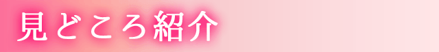 見どころ紹介